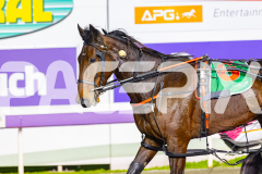 2026_PACEPIX_GP12062026_RACE5_HotlyPursued_WIN_WEB-24