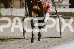 2026_PACEPIX_GP12062026_RACE5_HotlyPursued_WIN_WEB-3