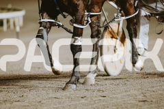 2026_PACEPIX_GP12062026_RACE5_HotlyPursued_WIN_WEB-5
