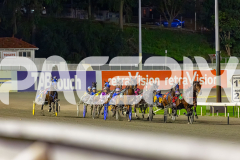 2026_PACEPIX_GP12062026_RACE5_HotlyPursued_WIN_WEB-7