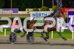 2026_PACEPIX_GP12062026_RACE5_HotlyPursued_WIN_WEB-9