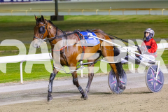 2025_PACEPIX_GP16012026_Race5_HotlyPursued_WIN_WEB-10