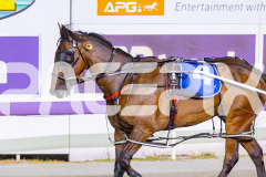 2025_PACEPIX_GP16012026_Race5_HotlyPursued_WIN_WEB-11