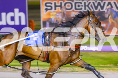 2025_PACEPIX_GP16012026_Race5_HotlyPursued_WIN_WEB-2