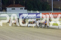2025_PACEPIX_GP16012026_Race5_HotlyPursued_WIN_WEB-3