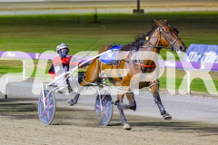 2025_PACEPIX_GP16012026_Race5_HotlyPursued_WIN_WEB-5