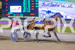 2025_PACEPIX_GP16012026_Race5_HotlyPursued_WIN_WEB-6