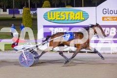 2025_PACEPIX_GP16012026_Race5_HotlyPursued_WIN_WEB-8