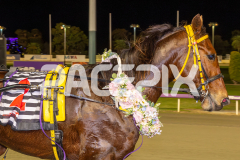 Ideal-Beach_15-08-2025_WIN_Gloucester-Park_5__04