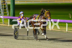 Ideal-Beach_15-08-2025_WIN_Gloucester-Park_5__07