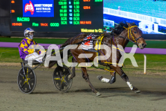 Ideal-Beach_15-08-2025_WIN_Gloucester-Park_5__09