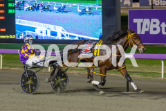 Ideal-Beach_15-08-2025_WIN_Gloucester-Park_5__10