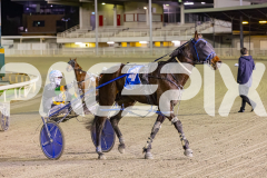 2025_PACEPIX_GP26082025_Race5_IdealBeach_WIN_WEB-20