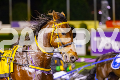 2025_PACEPIX_GP26082025_Race5_IdealBeach_WIN_WEB-4