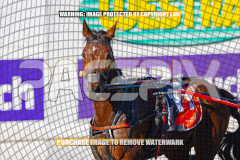 2026_PACEPIX_GP27072026_Race6_ImCatastrophic_WIN_WEB-18