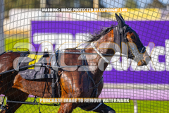 2026_PACEPIX_GP27072026_Race6_ImCatastrophic_WIN_WEB-3
