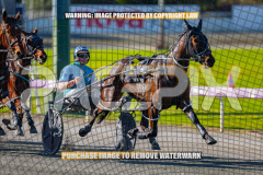 2026_PACEPIX_GP27072026_Race6_ImCatastrophic_WIN_WEB-4