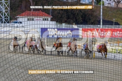 2026_PACEPIX_GP27102026_Race5_InMyOwnTime_WIN_WEB-1