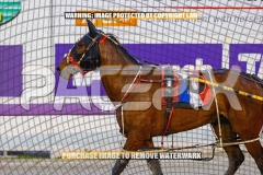2026_PACEPIX_GP27102026_Race5_InMyOwnTime_WIN_WEB-11
