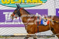 2026_PACEPIX_GP27102026_Race5_InMyOwnTime_WIN_WEB-12