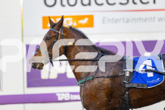 2025_PACEPIX_GP21072025_Race5_IwillNeverKnow_WIN_WEB-11
