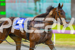 2025_PACEPIX_GP21072025_Race5_IwillNeverKnow_WIN_WEB-9