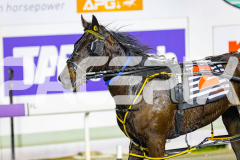 2026_PACEPIX_GP14072026_RACE5_JackCarowack_WIN_WEB-15