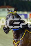 2026_PACEPIX_GP14072026_RACE5_JackCarowack_WIN_WEB-16