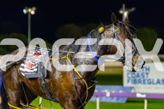 2026_PACEPIX_GP14072026_RACE5_JackCarowack_WIN_WEB-19