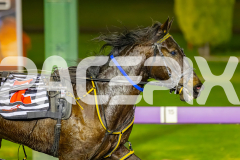2026_PACEPIX_GP14072026_RACE5_JackCarowack_WIN_WEB-5