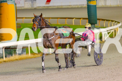 2025_PACEPIX_GP03062025_RACE5_JamieKim_WIN_WEB-10