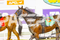 2025_PACEPIX_GP03062025_RACE5_JamieKim_WIN_WEB-12