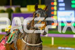 2025_PACEPIX_GP03062025_RACE5_JamieKim_WIN_WEB-14