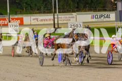 2025_PACEPIX_GP03062025_RACE5_JamieKim_WIN_WEB-3