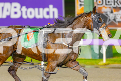 2025_PACEPIX_GP03062025_RACE5_JamieKim_WIN_WEB-9