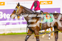 2025_PACEPIX_GP24062025_RACE5_JimmyRocks_WIN_WEB-12