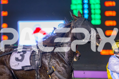 2025_PACEPIX_GP24062025_RACE5_JimmyRocks_WIN_WEB-2