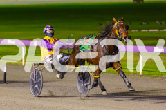 2025_PACEPIX_GP24062025_RACE5_JimmyRocks_WIN_WEB-4