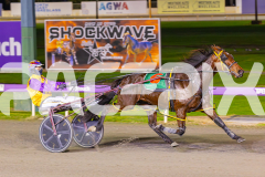 2025_PACEPIX_GP24062025_RACE5_JimmyRocks_WIN_WEB-6