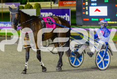 RACE 5 - Justcallmemiki