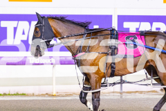2026_PACEPIX_GP27032026_RACE5_Justcallmemiki_WIN_WEB-12