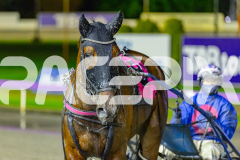 2026_PACEPIX_GP27032026_RACE5_Justcallmemiki_WIN_WEB-14
