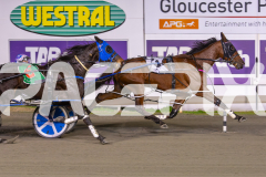 RACE 5 - LADY CAMEL
