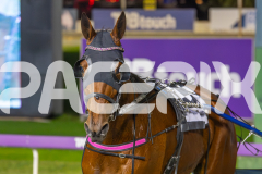 2023_HCC_GP12082025_Race5_Lady-Camel_WEB-11