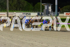 2023_HCC_GP12082025_Race5_Lady-Camel_WEB-2