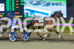 2023_HCC_GP12082025_Race5_Lady-Camel_WEB-6
