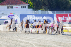 2025_PACEPIX_GP28072025_RACE5_LadyVioleta_WIN_WEB-1
