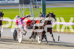 2025_PACEPIX_GP28072025_RACE5_LadyVioleta_WIN_WEB-10