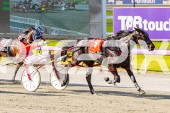 2025_PACEPIX_GP28072025_RACE5_LadyVioleta_WIN_WEB-13