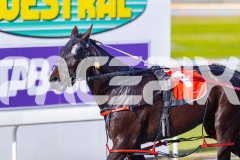 2025_PACEPIX_GP28072025_RACE5_LadyVioleta_WIN_WEB-19